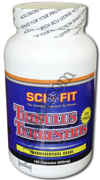 Tribulus Terrestris (SciFit)