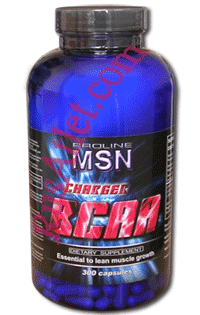 BCAA Charger