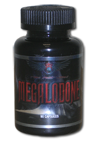 Megalodone