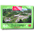 Zhui Feng Phyto Patch